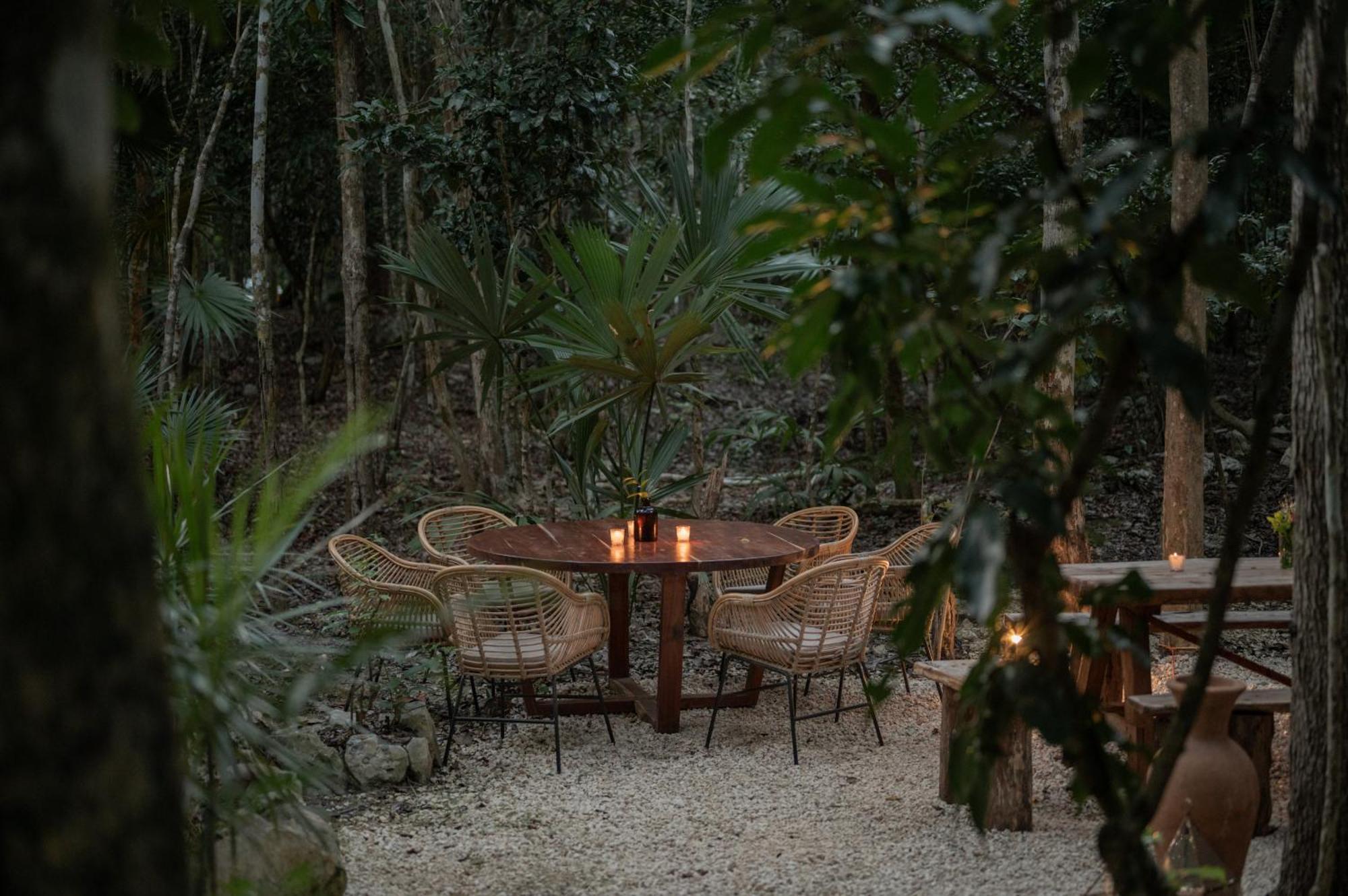 Naum - Secluded Villa With Private Cenote Tulum Extérieur photo